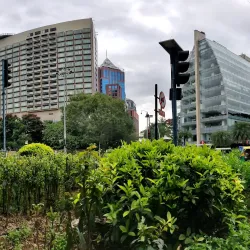 Cubbon Park - Bangalore
