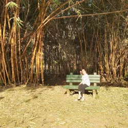 Cubbon Park - Bangalore