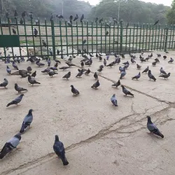Ulsoor Lake - Bangalore