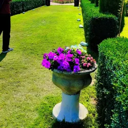 Kashmir University Botanical Garden - Baramulla