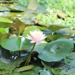 Nearby Natural Reserves and Parks - Baraut