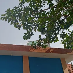 Shiv Mandir Baraut - Baraut