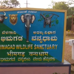 Bhimgad Wildlife Sanctuary - Belgaum
