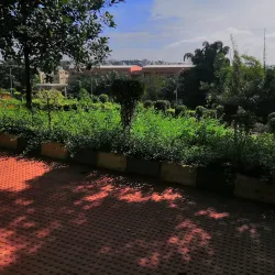 Chandragiri Park - Berhampur