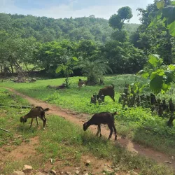Jambughoda Wildlife Sanctuary - Bharuch