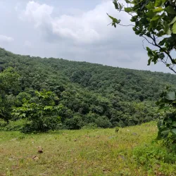 Jambughoda Wildlife Sanctuary - Bharuch