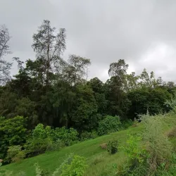 Jambughoda Wildlife Sanctuary - Bharuch