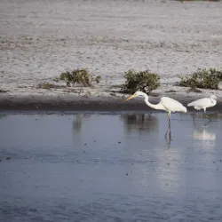 Gaurishankar Lake - Bhavnagar