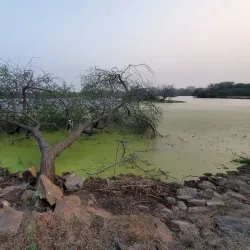 Victoria Park - Bhavnagar