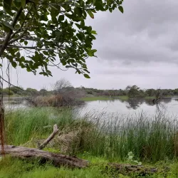 Victoria Park - Bhavnagar