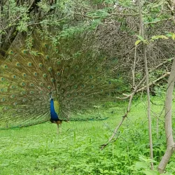 Victoria Park - Bhavnagar