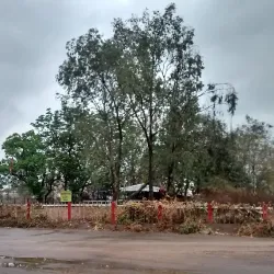 Bhilai Steel Plant - Bhilai