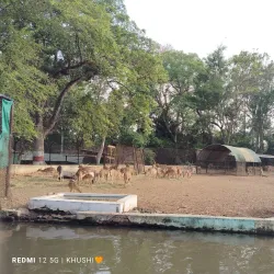 Maitri Bagh Zoo and Park - Bhilai