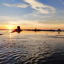Kolleru Lake (nearby) - Bhimavaram