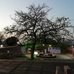 Bharat Bhavan - Bhopal