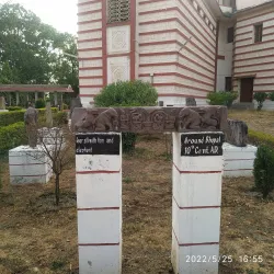 Birla Museum - Bhopal