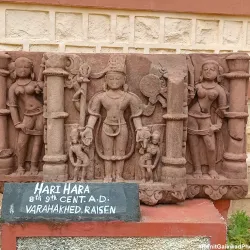 Birla Museum - Bhopal