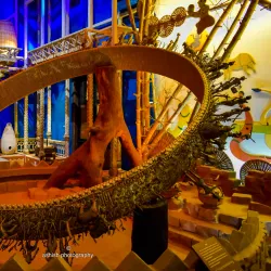 Islamic Museum - Bhopal