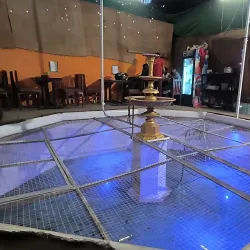 Shaukat Mahal and Sadar Manzil - Bhopal