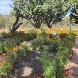 Van Vihar National Park - Bhopal