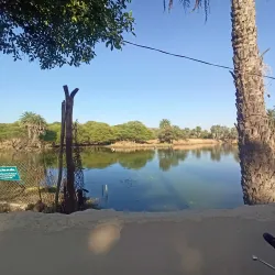 Van Vihar National Park - Bhopal