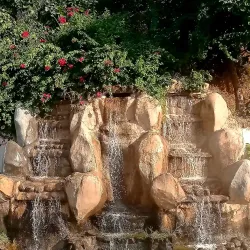 Van Vihar National Park - Bhopal