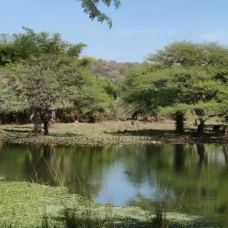 Van Vihar National Park - Bhopal
