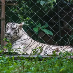 Van Vihar National Park - Bhopal
