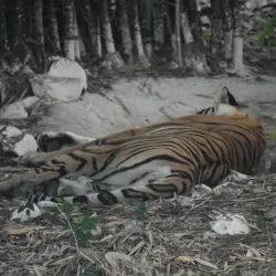 Van Vihar National Park - Bhopal