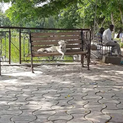 Hamirsar Lake - Bhuj