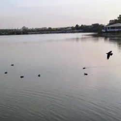 Hamirsar Lake - Bhuj