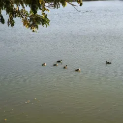 Hamirsar Lake - Bhuj