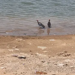 Hamirsar Lake - Bhuj