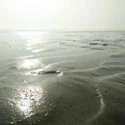 Mandvi Beach - Bhuj