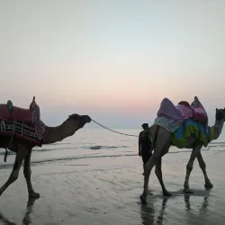 Mandvi Beach - Bhuj