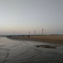Mandvi Beach - Bhuj