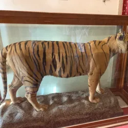 Vijay Vilas Palace - Bhuj