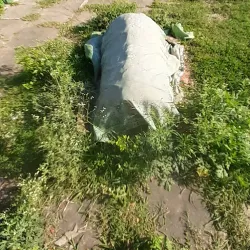 Chhoti Dargah - Bihar Sharif