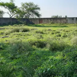 Chhoti Dargah - Bihar Sharif