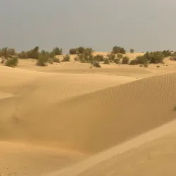 Desert National Park - Bikaner