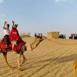 Desert National Park - Bikaner