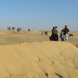 Desert National Park - Bikaner