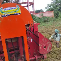 Desert National Park - Bikaner
