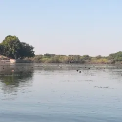 Gajner Palace and Wildlife Sanctuary - Bikaner