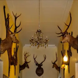 Lalgarh Palace - Bikaner