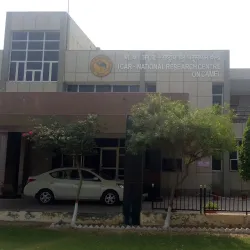 National Research Centre on Camel - Bikaner
