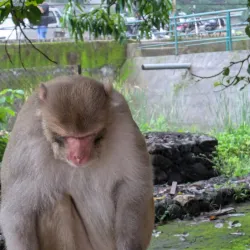 Achanakmar Wildlife Sanctuary - Bilaspur