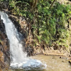 Achanakmar Wildlife Sanctuary - Bilaspur