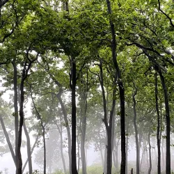 Achanakmar Wildlife Sanctuary - Bilaspur