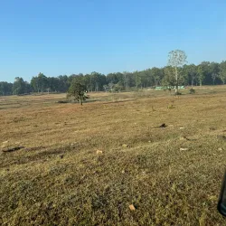 Achanakmar Wildlife Sanctuary - Bilaspur